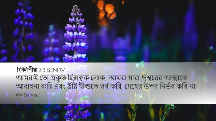ফিলিপীয়া 3:3 BENIRV Bible Verse Image