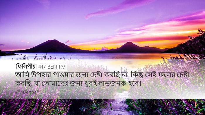 ফিলিপীয়া 4:17 BENIRV Bible Verse Image
