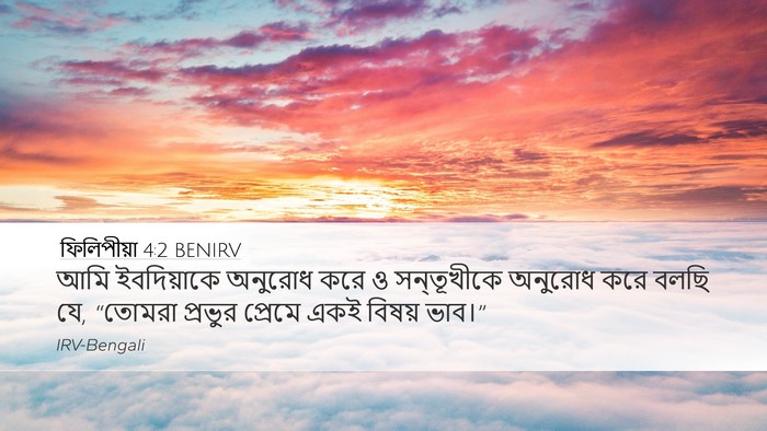 ফিলিপীয়া 4:2 BENIRV Desktop Wallpaper - আমি ইবদিয়াকে - Desktop Bible Verse Wallpaper