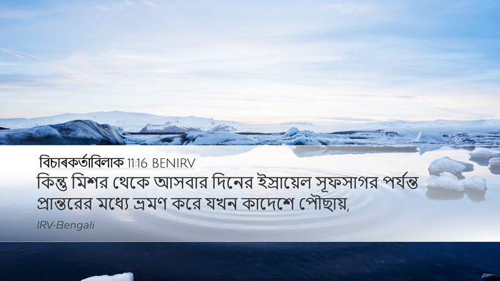 বিচাৰকর্তাবিলাক 11:16 BENIRV Bible Verse Image