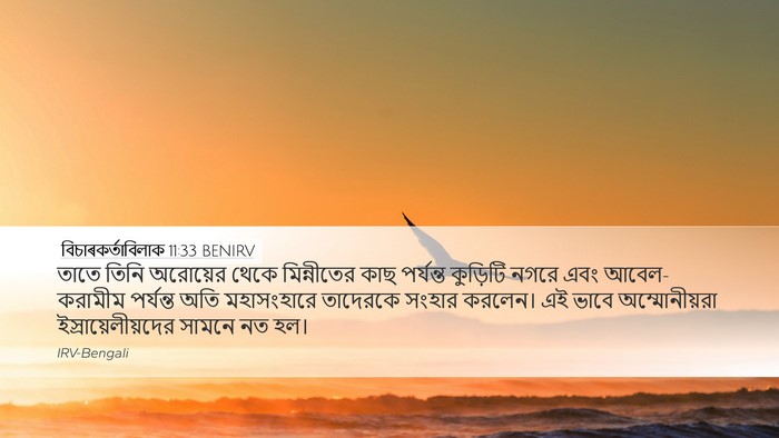 বিচাৰকর্তাবিলাক 11:33 BENIRV Bible Verse Image