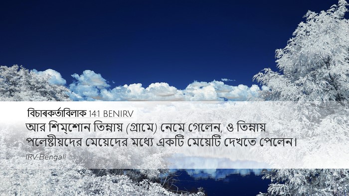 বিচাৰকর্তাবিলাক 14:1 BENIRV Bible Verse Image