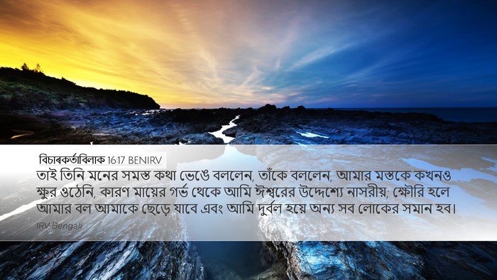 বিচাৰকর্তাবিলাক 16:17 BENIRV Bible Verse Image