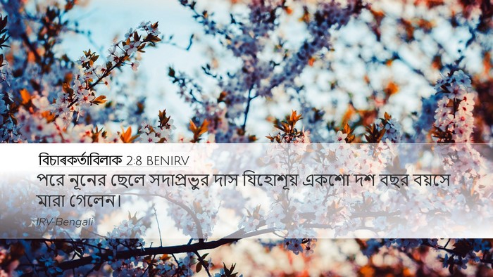 বিচাৰকর্তাবিলাক 2:8 BENIRV Bible Verse Image