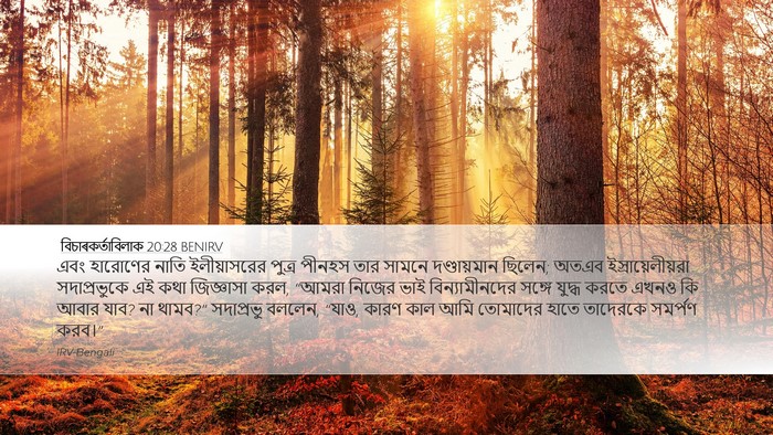বিচাৰকর্তাবিলাক 20:28 BENIRV Bible Verse Image
