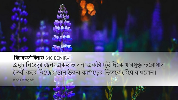 বিচাৰকর্তাবিলাক 3:16 BENIRV Desktop Wallpaper - এহূদ নিজের জন্য - Desktop Bible Verse Wallpaper