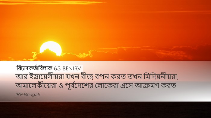 বিচাৰকর্তাবিলাক 6:3 BENIRV Bible Verse Image