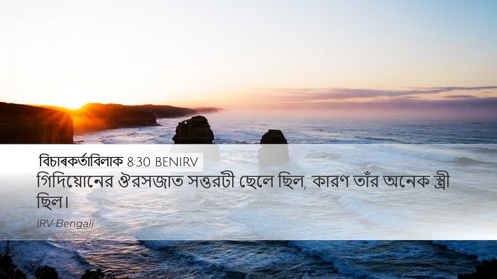 বিচাৰকর্তাবিলাক 8:30 BENIRV Bible Verse Image