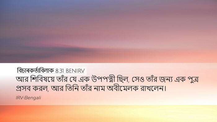 বিচাৰকর্তাবিলাক 8:31 BENIRV Bible Verse Image