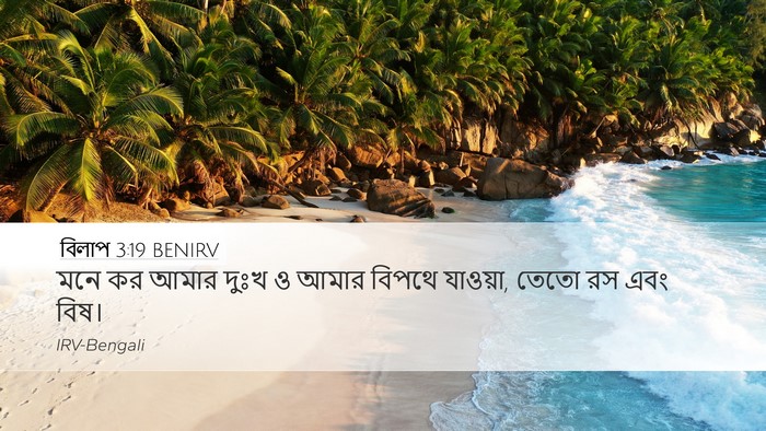 বিলাপ 3:19 BENIRV Bible Verse Image