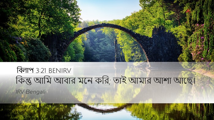 বিলাপ 3:21 BENIRV Bible Verse Image