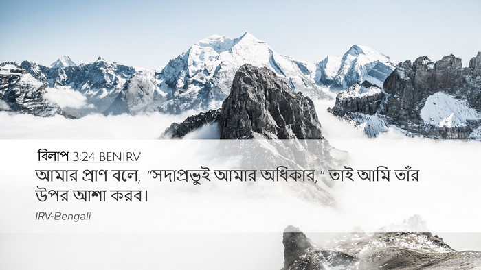 বিলাপ 3:24 BENIRV Bible Verse Image