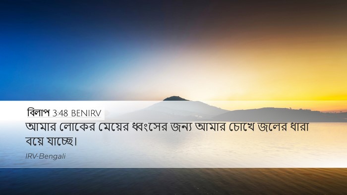 বিলাপ 3:48 BENIRV Bible Verse Image