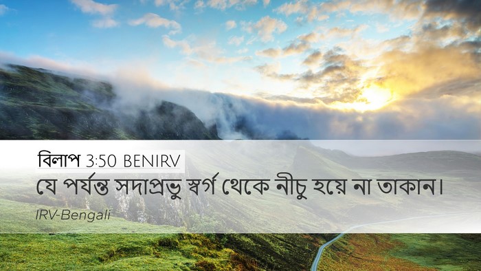 বিলাপ 3:50 BENIRV Bible Verse Image
