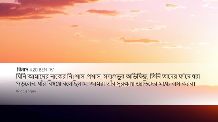 বিলাপ 4:20 BENIRV Bible Verse Image