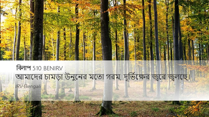 বিলাপ 5:10 BENIRV Bible Verse Image