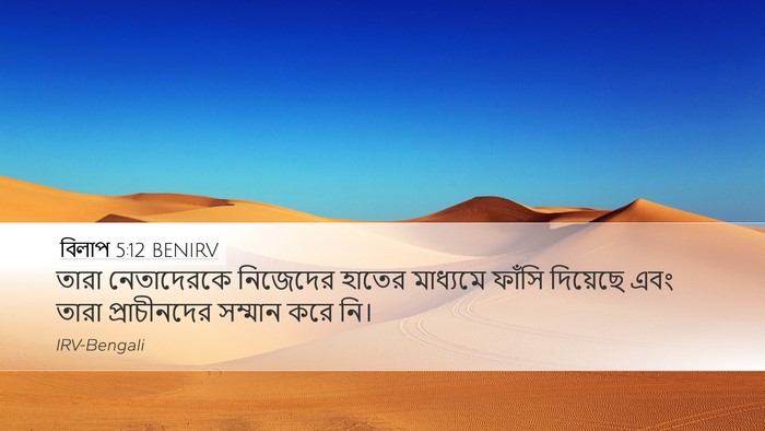 বিলাপ 5:12 BENIRV Bible Verse Image
