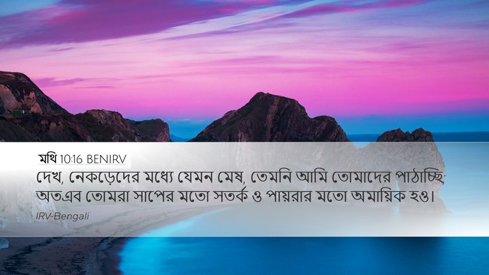 মথি 10:16 BENIRV Bible Verse Image