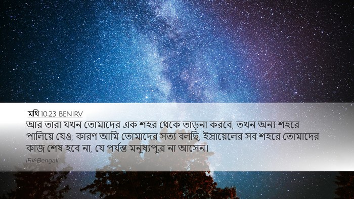 মথি 10:23 BENIRV Bible Verse Image