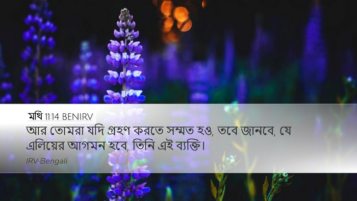 মথি 11:14 BENIRV Bible Verse Image