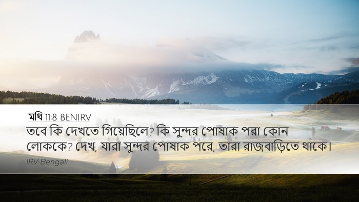 মথি 11:8 BENIRV Bible Verse Image