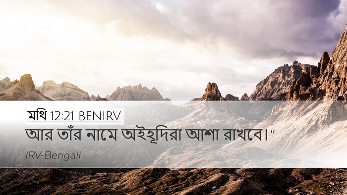 মথি 12:21 BENIRV Desktop Wallpaper - আর তাঁর নামে - Desktop Bible Verse Wallpaper