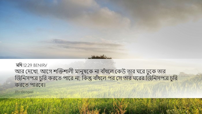 মথি 12:29 BENIRV Bible Verse Image