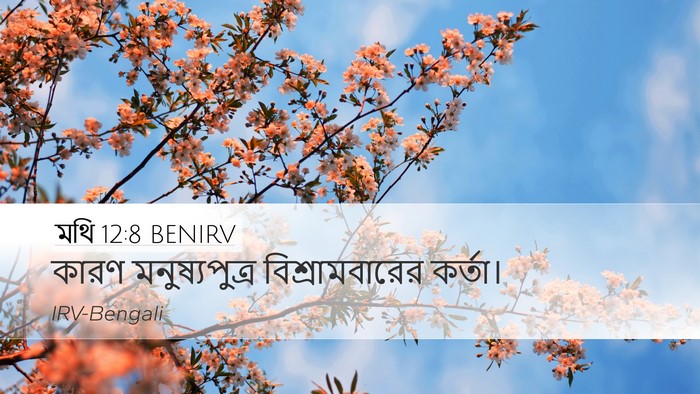 মথি 12:8 BENIRV Bible Verse Image