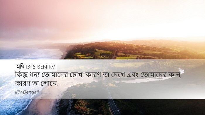মথি 13:16 BENIRV Bible Verse Image