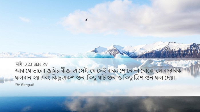 মথি 13:23 BENIRV Bible Verse Image