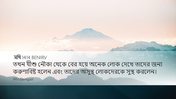 মথি 14:14 BENIRV Bible Verse Image
