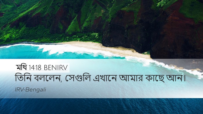 মথি 14:18 BENIRV Desktop Wallpaper - তিনি বললেন, সেগুলি - Desktop Bible Verse Wallpaper