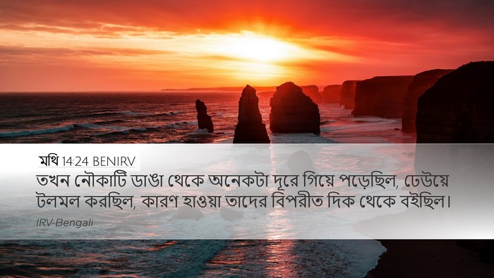 মথি 14:24 BENIRV Desktop Wallpaper - তখন নৌকাটি ডাঙা - Desktop Bible Verse Wallpaper