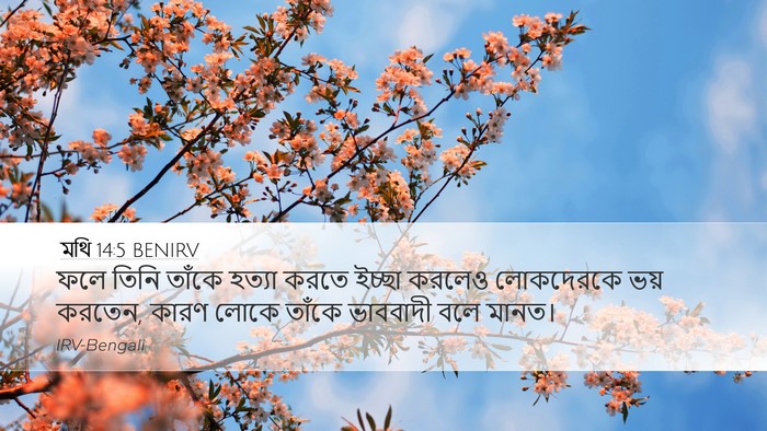মথি 14:5 BENIRV Bible Verse Image