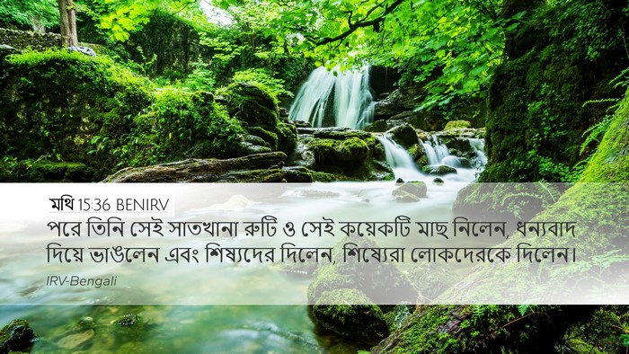 মথি 15:36 BENIRV Bible Verse Image