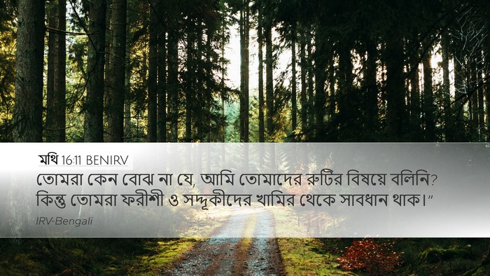 মথি 16:11 BENIRV Bible Verse Image