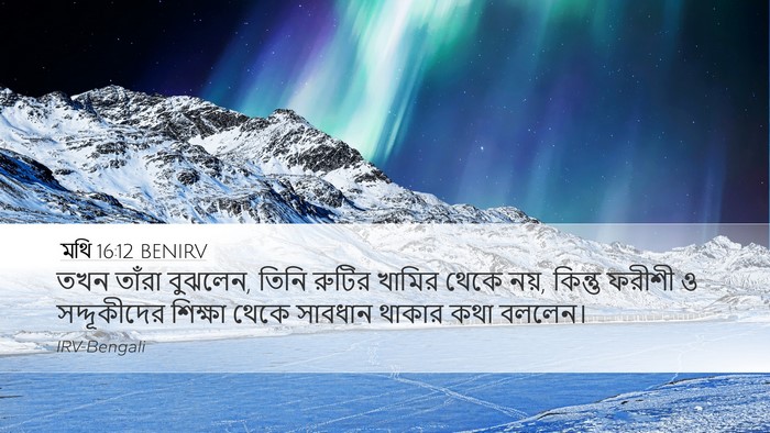 মথি 16:12 BENIRV Desktop Wallpaper - তখন তাঁরা বুঝলেন, - Desktop Bible Verse Wallpaper