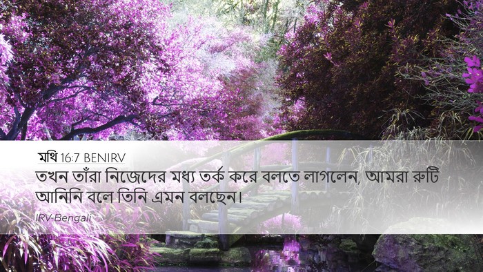 মথি 16:7 BENIRV Desktop Wallpaper - তখন তাঁরা নিজেদের - Desktop Bible Verse Wallpaper