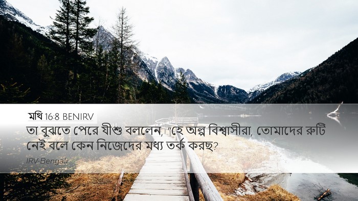 মথি 16:8 BENIRV Bible Verse Image