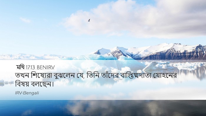 মথি 17:13 BENIRV Desktop Wallpaper - তখন শিষ্যেরা - Desktop Bible Verse Wallpaper