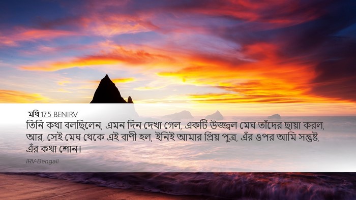 মথি 17:5 BENIRV Bible Verse Image