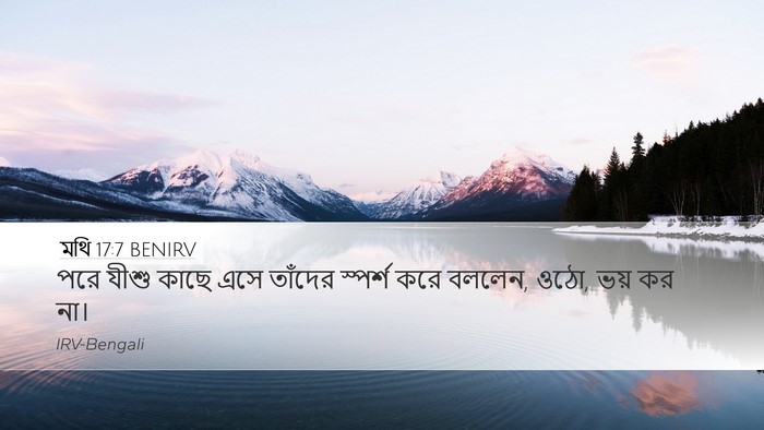 মথি 17:7 BENIRV Desktop Wallpaper - পরে যীশু কাছে এসে - Desktop Bible Verse Wallpaper
