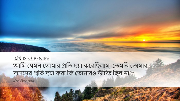 মথি 18:33 BENIRV Bible Verse Image