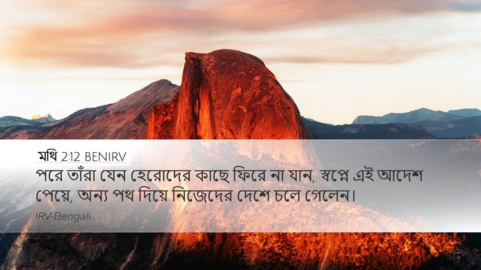 মথি 2:12 BENIRV Bible Verse Image