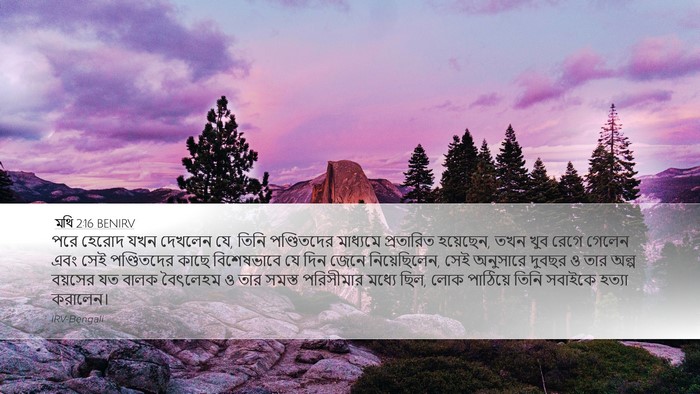 মথি 2:16 BENIRV Bible Verse Image