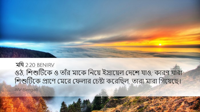 মথি 2:20 BENIRV Bible Verse Image