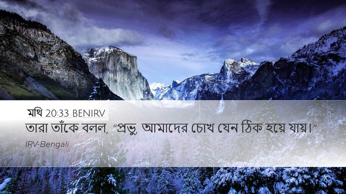 মথি 20:33 BENIRV Desktop Wallpaper - তারা তাঁকে বলল, - Desktop Bible Verse Wallpaper