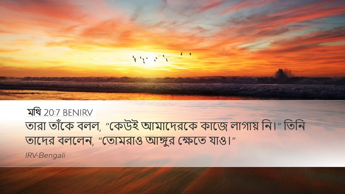 মথি 20:7 BENIRV Desktop Wallpaper - তারা তাঁকে বলল, - Desktop Bible Verse Wallpaper