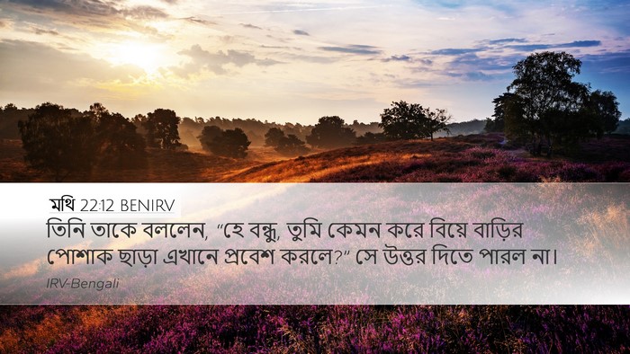 মথি 22:12 BENIRV Bible Verse Image