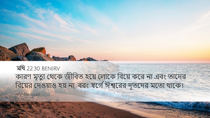 মথি 22:30 BENIRV Bible Verse Image